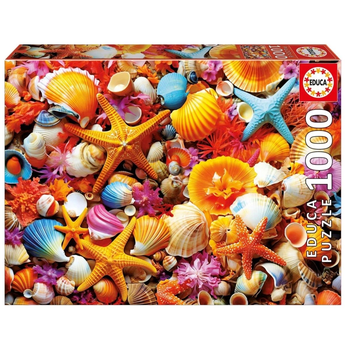 Puzzle EDUCA 1000 Školjke | Knjižara Prima