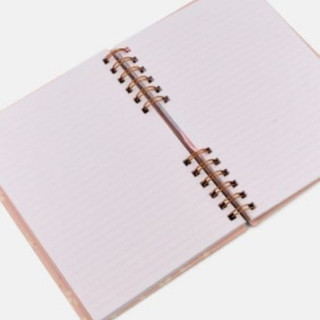 Set agenda i hemijska POSH AND POP Take notes 