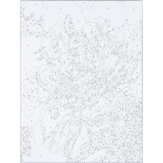 Bojenje po brojevima - Božur akril 40X30 