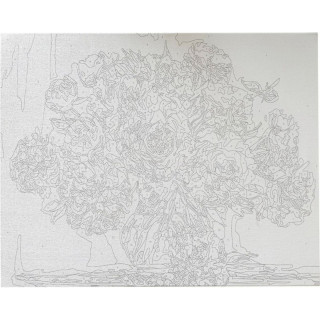 Bojenje po brojevima - Božuri akril 40X50 