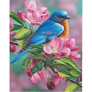 Bojenje po brojevima - Ptica u raju akril 40X50 