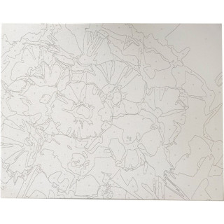 Bojenje po brojevima - Rade akril  40X50 