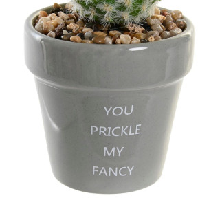 Kaktus u saksiji ITEM 