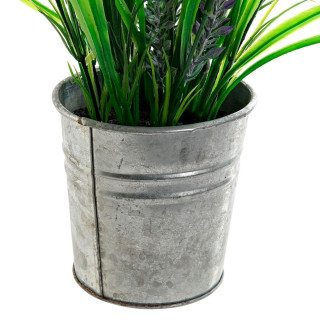 Dekorativna lavanda u saksiji ITEM 