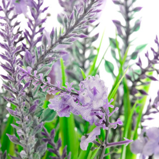 Dekorativna lavanda u saksiji ITEM 
