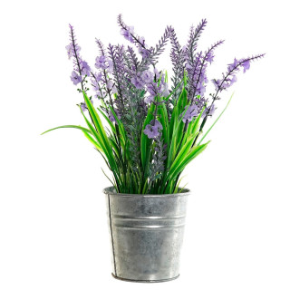 Dekorativna lavanda u saksiji ITEM 