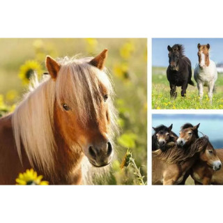 Puzzle RAVENSBURGER Divlji konji 3x49 