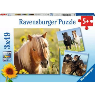 Puzzle RAVENSBURGER Divlji konji 3x49 