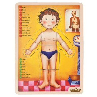 Umetaljka WOODY ljudsko telo 