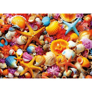 Puzzle EDUCA 1000 Školjke 