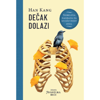 Dečak dolazi - Han Kang 