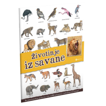 Panorama: Životinje iz savane 
