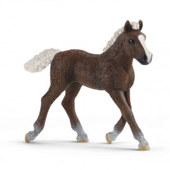 Black forest ždrebe SCHLEICH 13899 