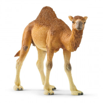 Kamila SCHLEICH 14832 