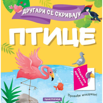 Drugari se skrivaju - Ptice 