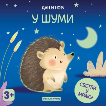 Dan i noć - U šumi 