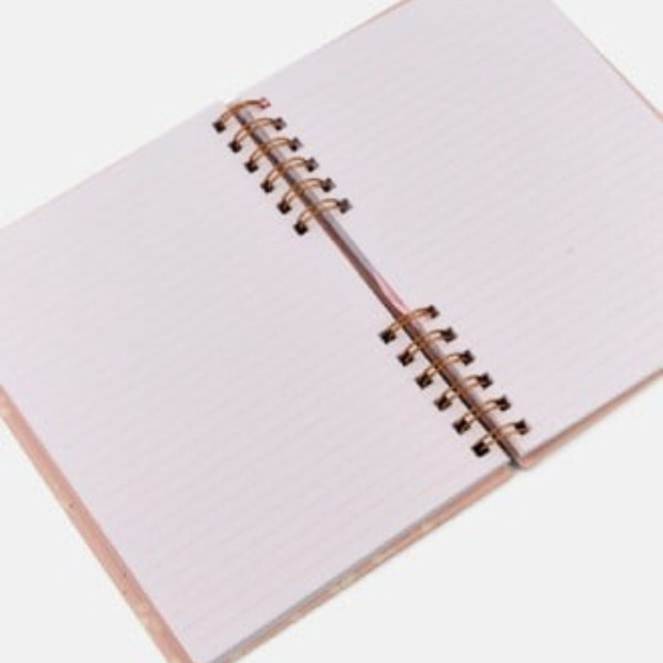 Set agenda i hemijska POSH AND POP Take notes 