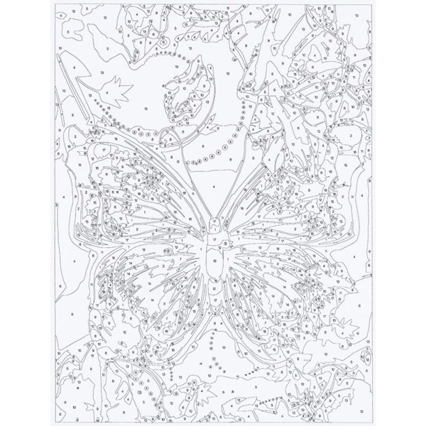 Bojenje po brojevima - Leptir akril 40X30 