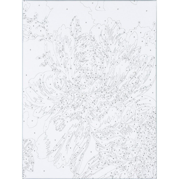 Bojenje po brojevima - Božur akril 40X30 