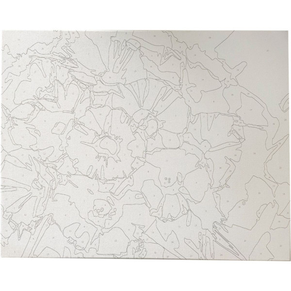 Bojenje po brojevima - Rade akril  40X50 