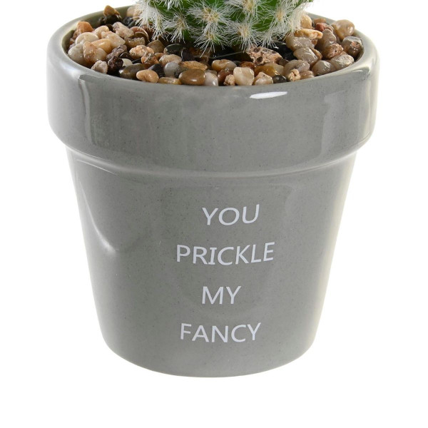 Kaktus u saksiji ITEM 