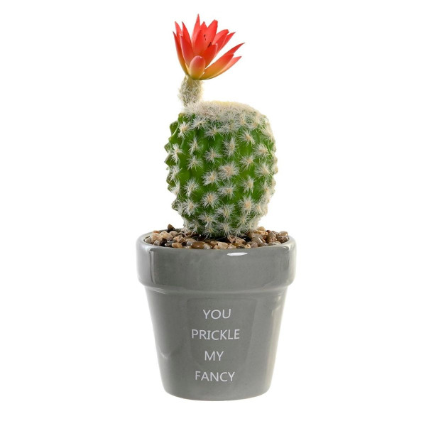 Kaktus u saksiji ITEM 