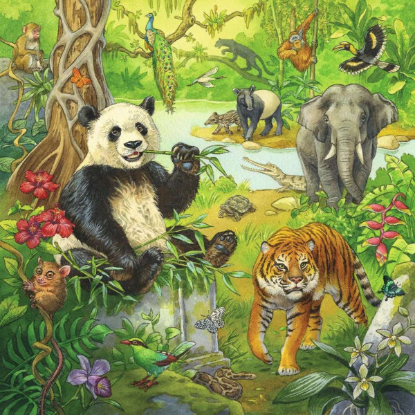 Puzzle RAVENSBURGER Džungla 3u1 