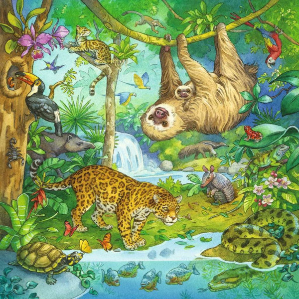 Puzzle RAVENSBURGER Džungla 3u1 