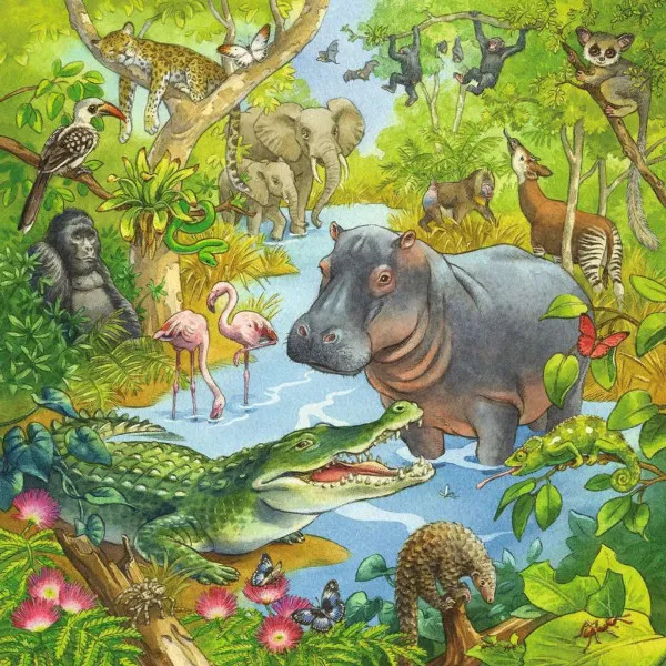 Puzzle RAVENSBURGER Džungla 3u1 