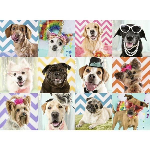 Puzzle RAVENSBURGER Psi 100 