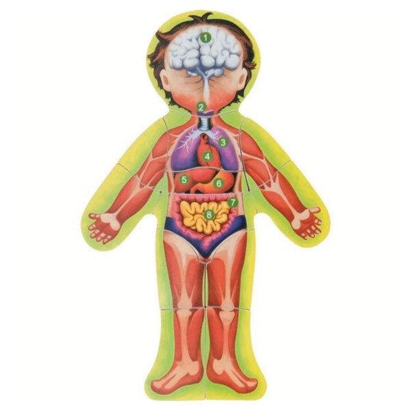 Umetaljka WOODY ljudsko telo 