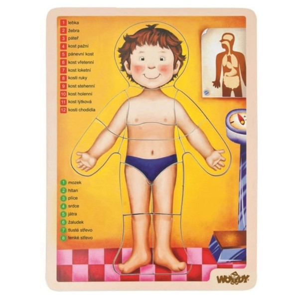 Umetaljka WOODY ljudsko telo 