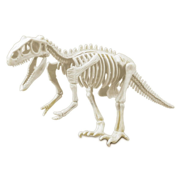 Komplet za iskopavanje tiranosaurusa 