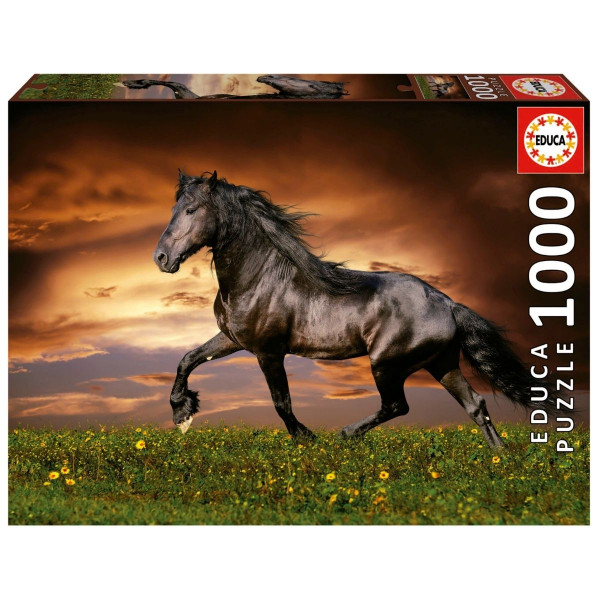 Puzzle EDUCA 1000 Konj 
