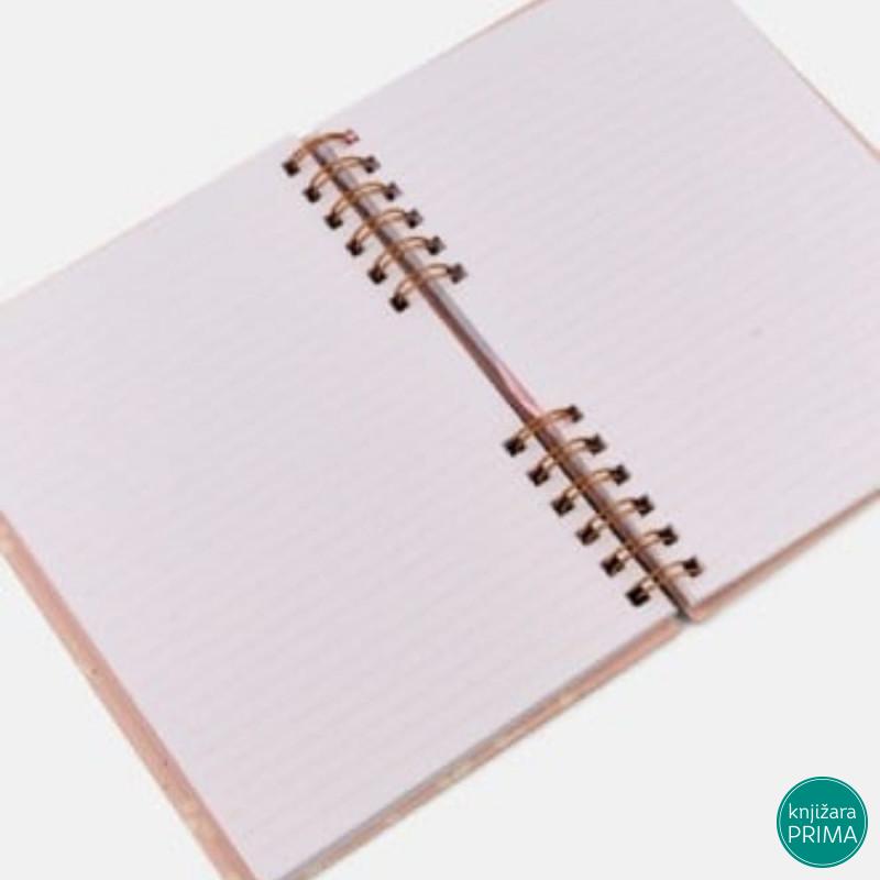 Set agenda i hemijska POSH AND POP Take notes 