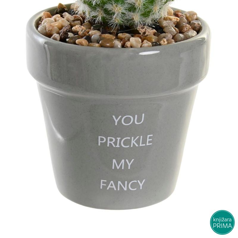 Kaktus u saksiji ITEM 