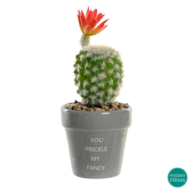 Kaktus u saksiji ITEM 