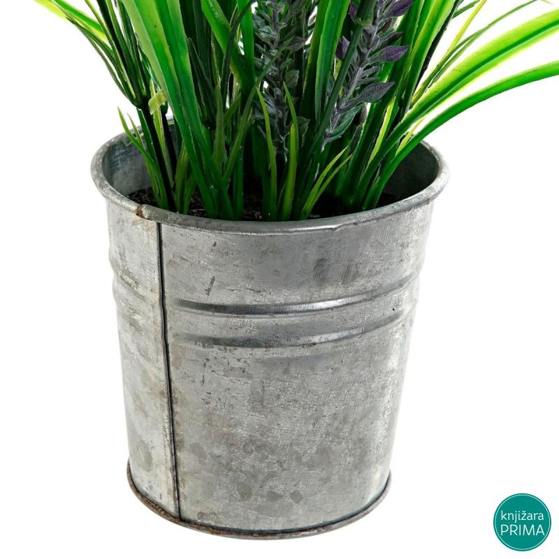 Dekorativna lavanda u saksiji ITEM 
