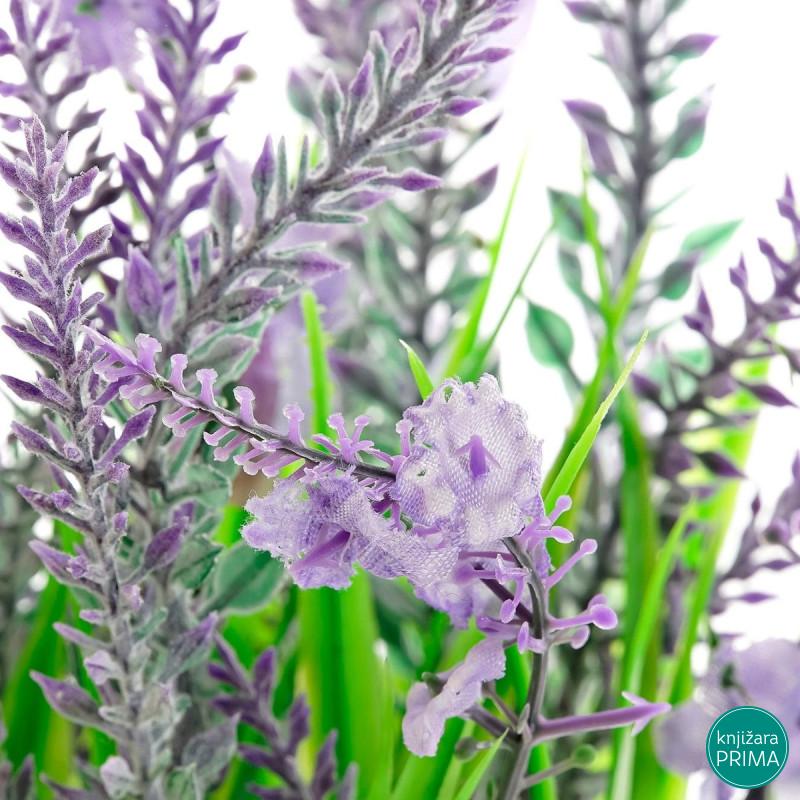 Dekorativna lavanda u saksiji ITEM 