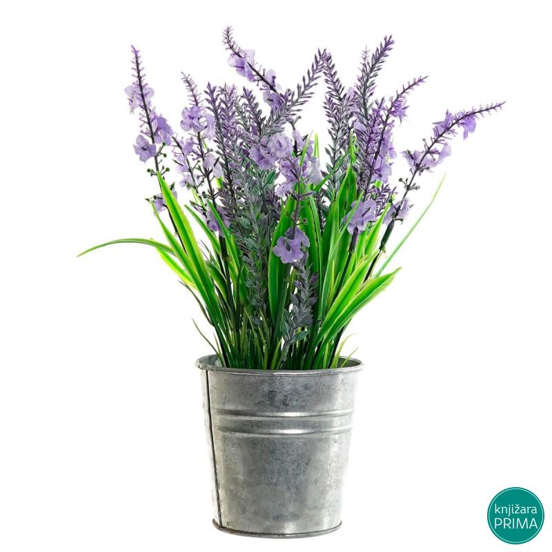 Dekorativna lavanda u saksiji ITEM 