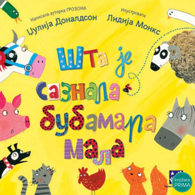 Šta je saznala bubamara mala KREATIVNI CENTAR 