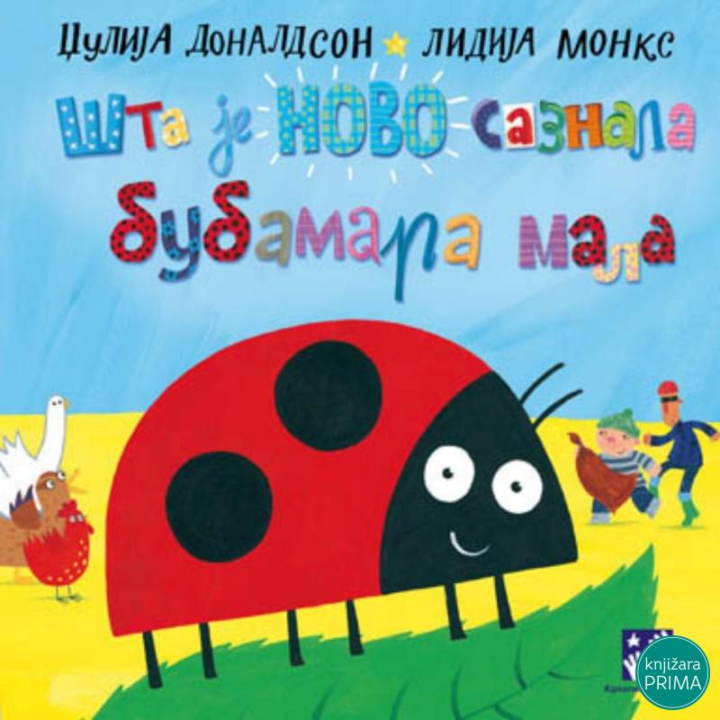 Šta je novo saznala bubamara mala KREATIVNI CENTAR 