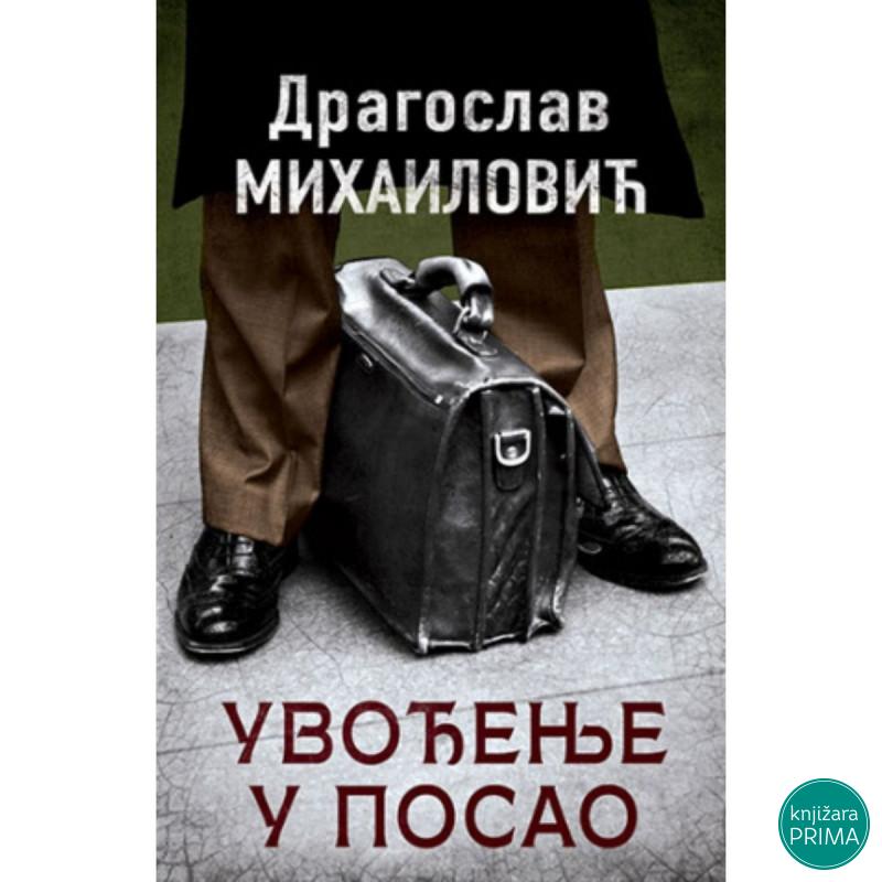 Uvođenje u posao - Dragoslav Mihailović LAGUNA 