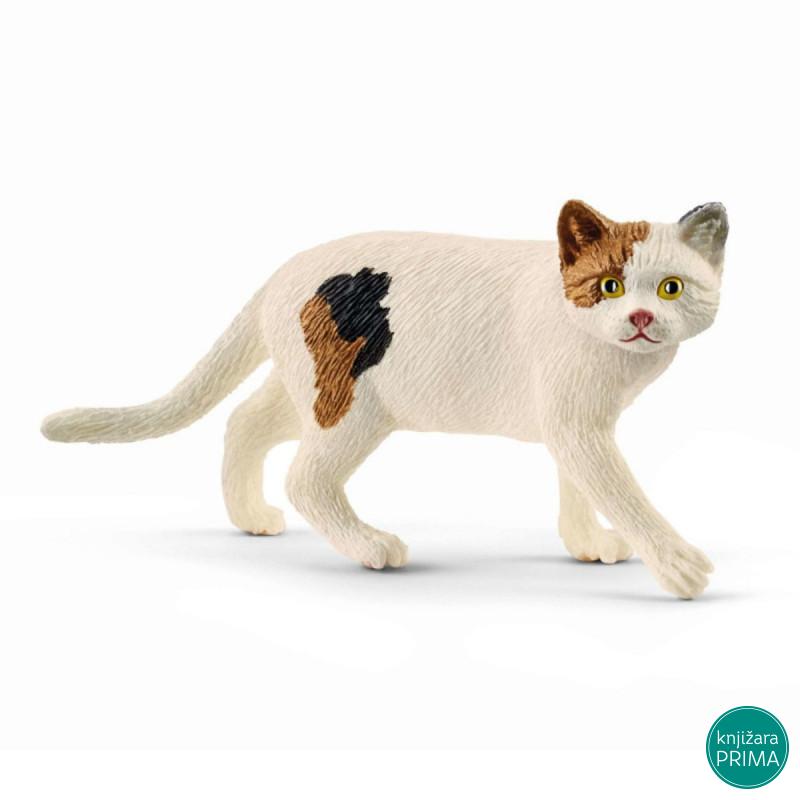 Američka mačka, kratkodlaka SCHLEICH 13894 