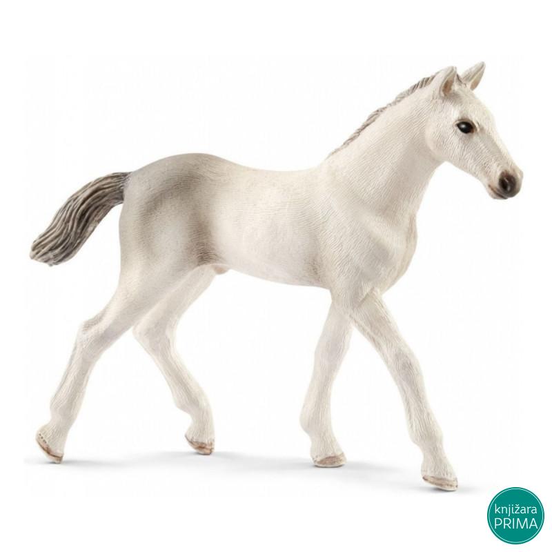 Holsteiner ždrebe SCHLEICH 13860 