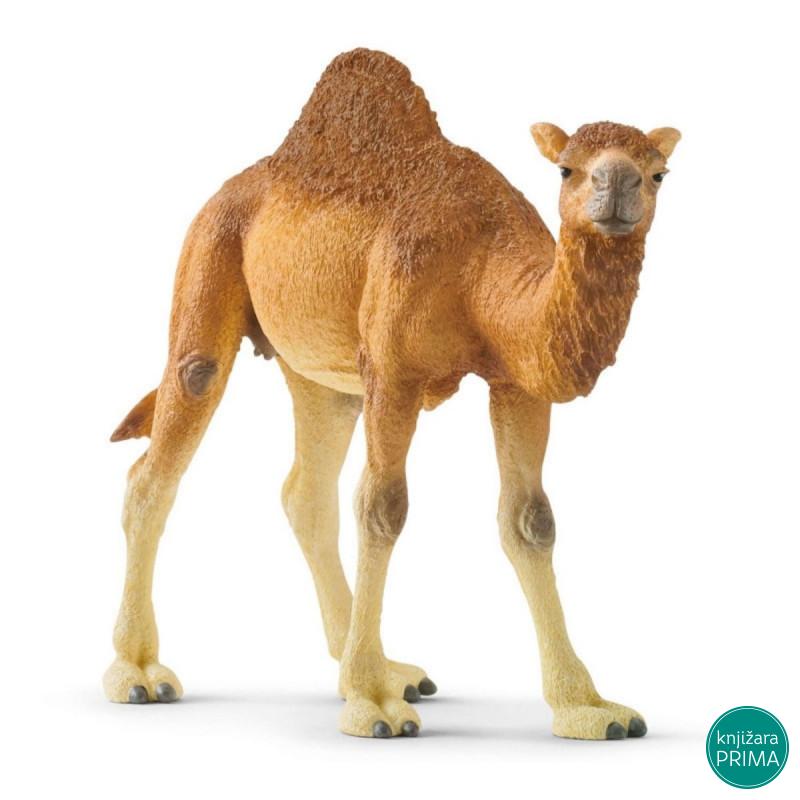 Kamila SCHLEICH 14832 