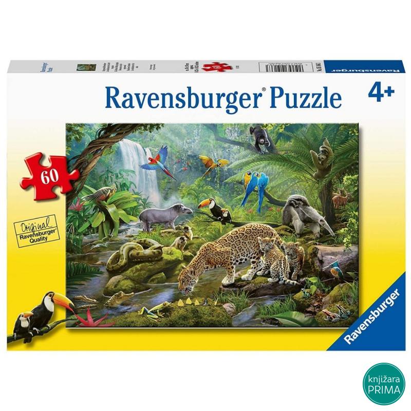 Puzzle RAVENSBURGER Životinje prašume 60 