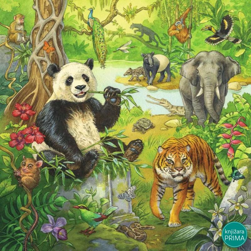 Puzzle RAVENSBURGER Džungla 3u1 