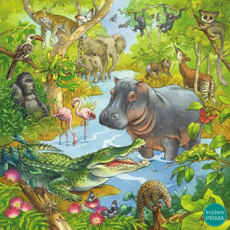 Puzzle RAVENSBURGER Džungla 3u1 