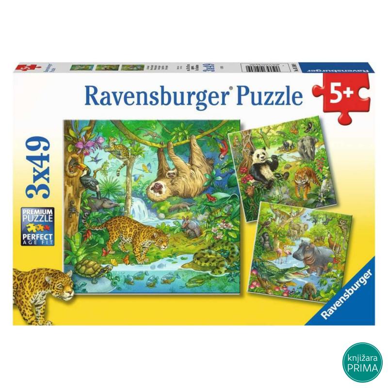 Puzzle RAVENSBURGER Džungla 3u1 
